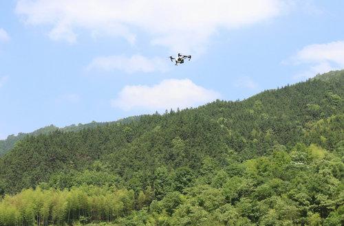 民樂縣林業有害生物現狀及防控措施