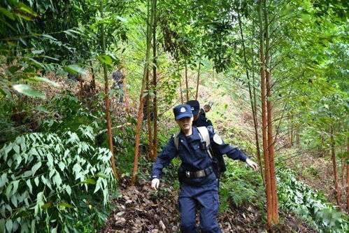 羅城 兩村民小組間有一片荒地,引起種植林木糾紛,幾個(gè)部門聯(lián)合執(zhí)行