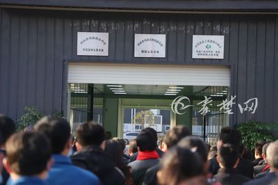鄖陽香菇再添三張“國"字招牌,出口貿(mào)易開啟新征程!